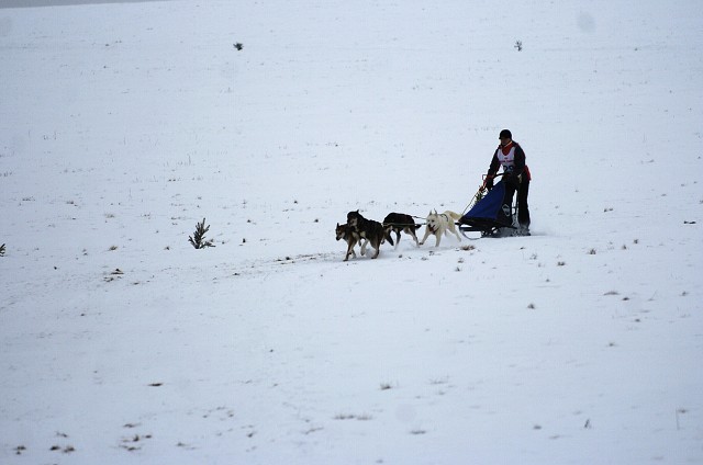 Kynologická revue - www.dogsk.sk