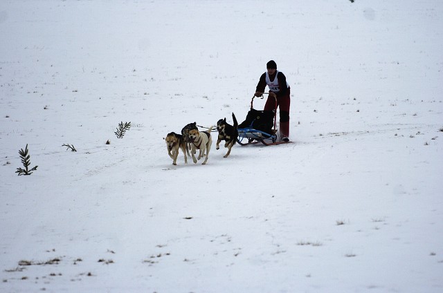 Kynologická revue - www.dogsk.sk