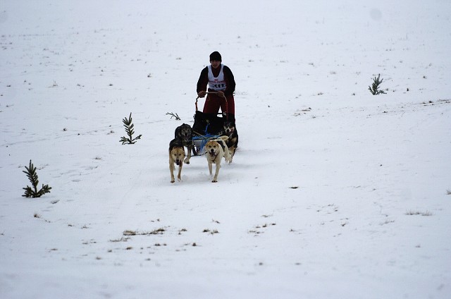 Kynologická revue - www.dogsk.sk