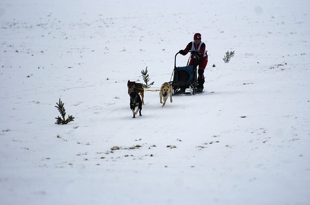Kynologická revue - www.dogsk.sk