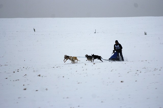 Kynologická revue - www.dogsk.sk