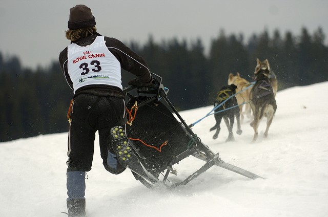 Kynologická revue - www.dogsk.sk