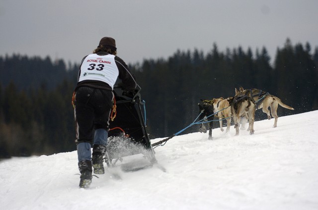 Kynologická revue - www.dogsk.sk