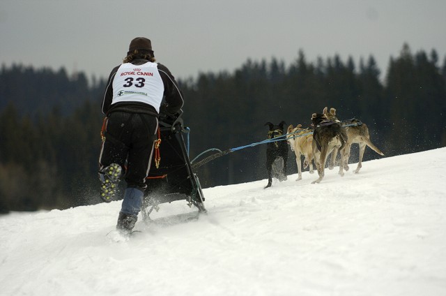 Kynologická revue - www.dogsk.sk