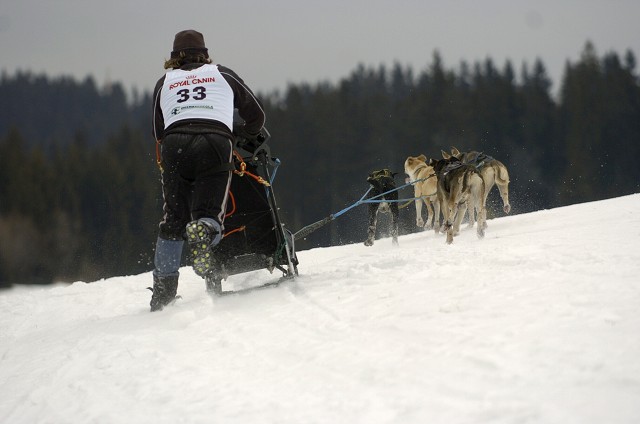 Kynologická revue - www.dogsk.sk