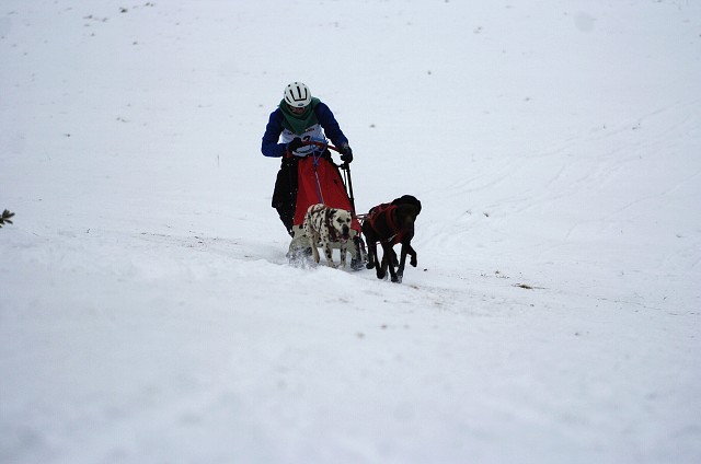 Kynologická revue - www.dogsk.sk