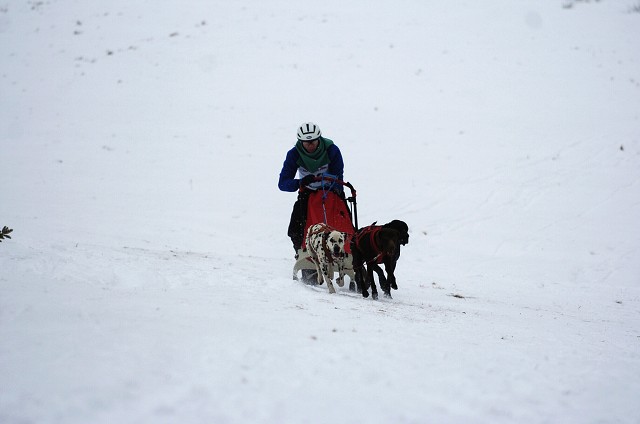 Kynologická revue - www.dogsk.sk
