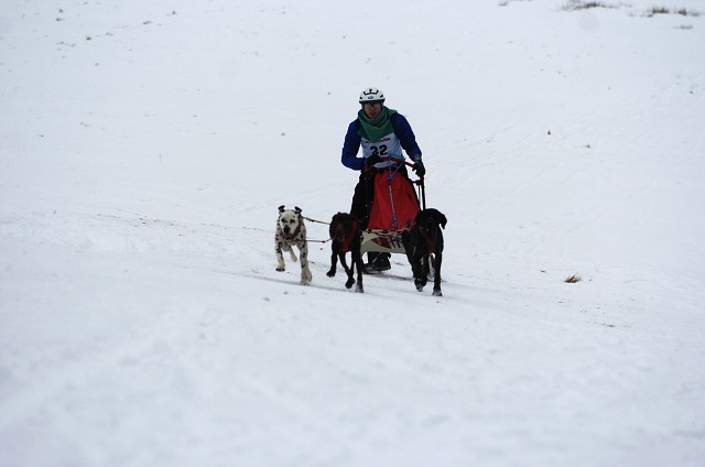 Kynologická revue - www.dogsk.sk