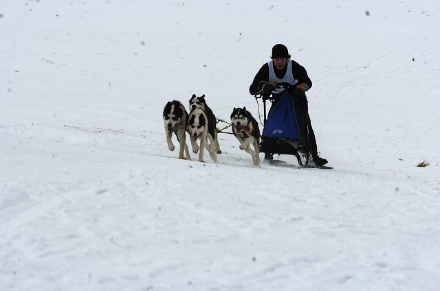 Kynologická revue - www.dogsk.sk