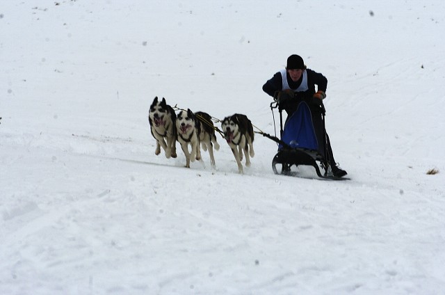 Kynologická revue - www.dogsk.sk