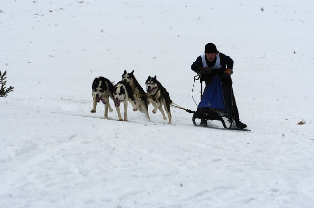 Kynologická revue - www.dogsk.sk