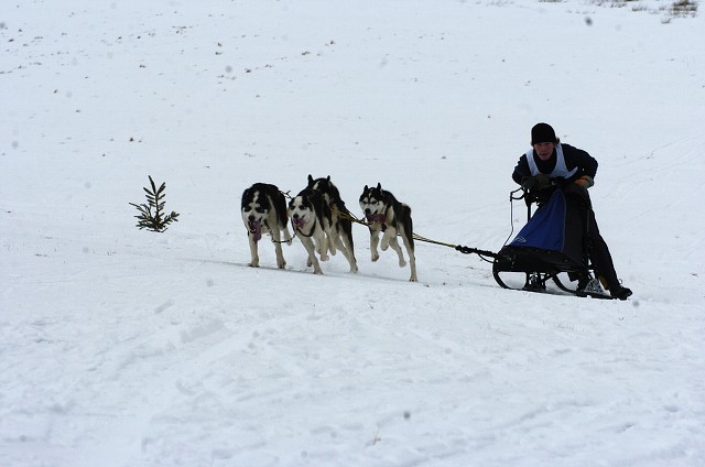Kynologická revue - www.dogsk.sk