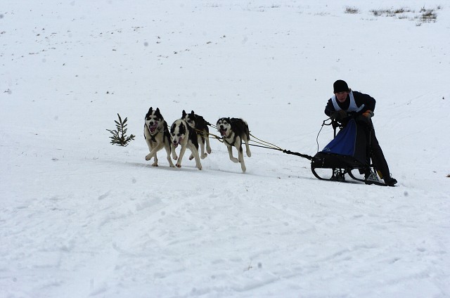 Kynologická revue - www.dogsk.sk