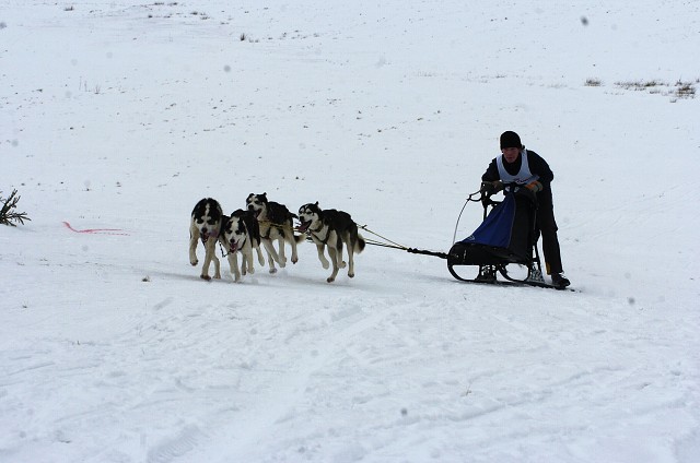 Kynologická revue - www.dogsk.sk