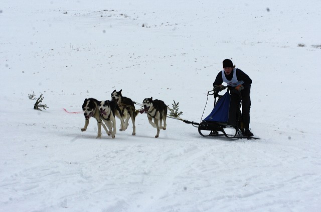 Kynologická revue - www.dogsk.sk