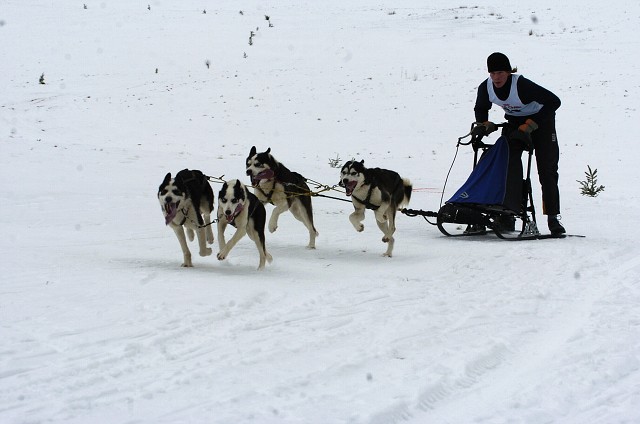 Kynologická revue - www.dogsk.sk