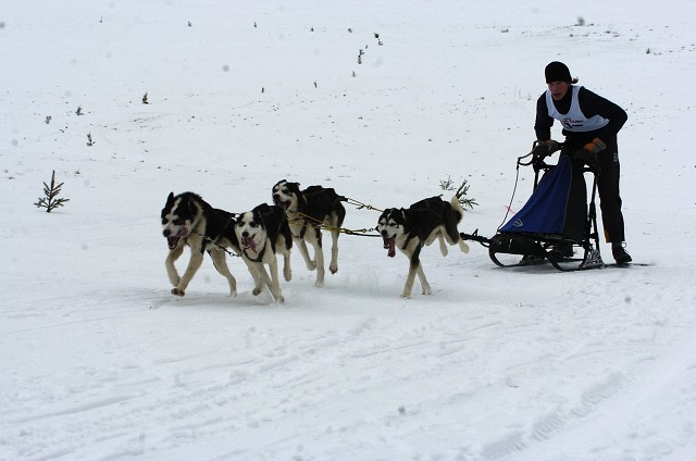 Kynologická revue - www.dogsk.sk