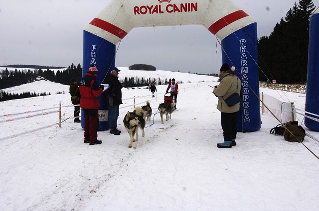 Kynologická revue - www.dogsk.sk