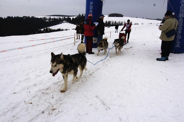 Kynologická revue - www.dogsk.sk