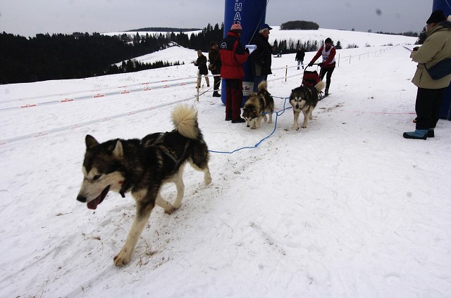 Kynologická revue - www.dogsk.sk