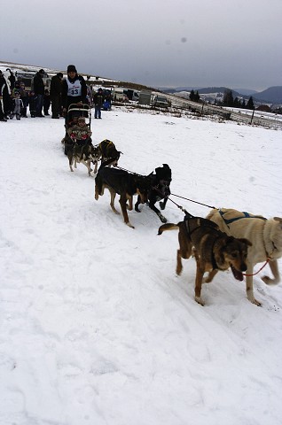 Kynologická revue - www.dogsk.sk