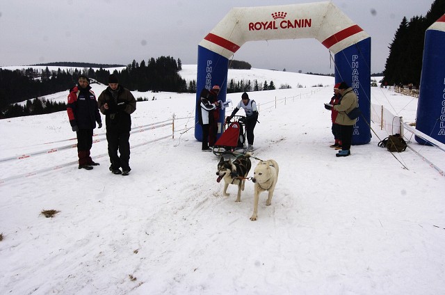 Kynologická revue - www.dogsk.sk