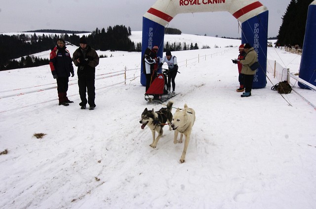 Kynologická revue - www.dogsk.sk