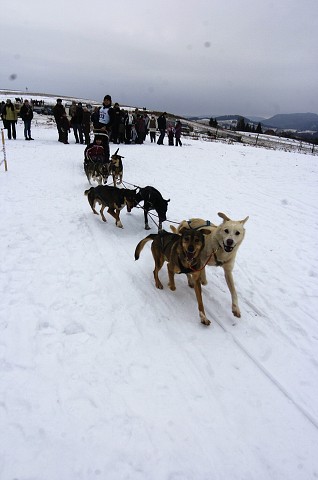Kynologická revue - www.dogsk.sk
