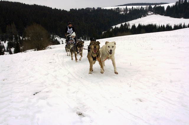 Kynologická revue - www.dogsk.sk