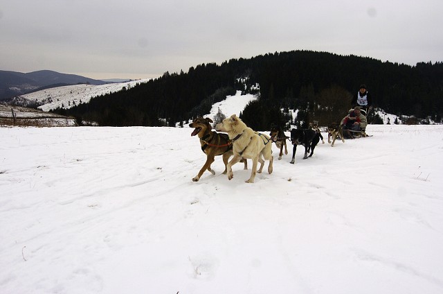 Kynologická revue - www.dogsk.sk