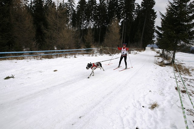 Kynologická revue - www.dogsk.sk