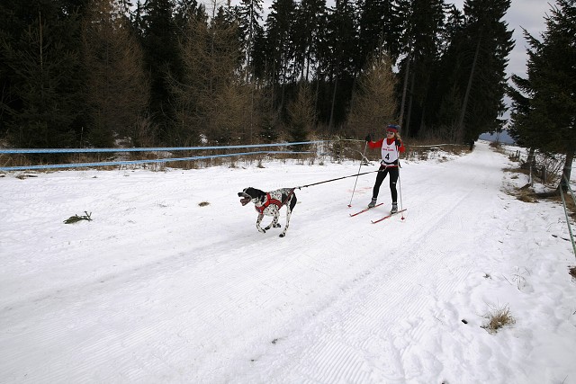 Kynologická revue - www.dogsk.sk