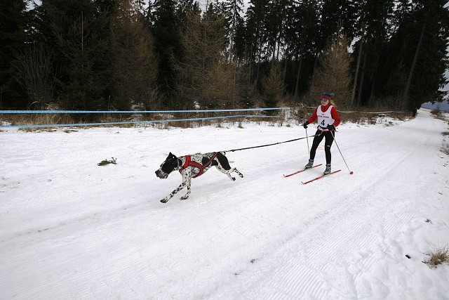 Kynologická revue - www.dogsk.sk
