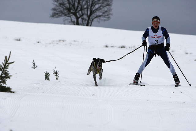 Kynologická revue - www.dogsk.sk