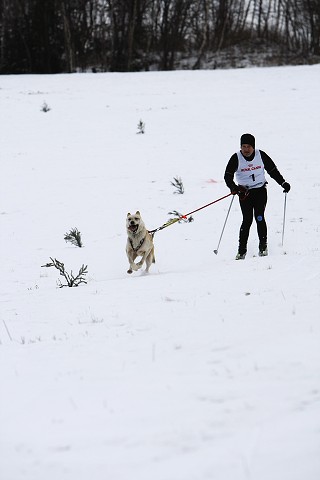 Kynologická revue - www.dogsk.sk