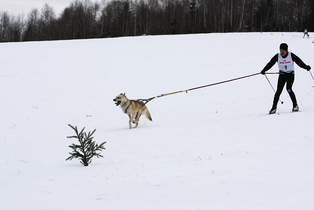 Kynologická revue - www.dogsk.sk
