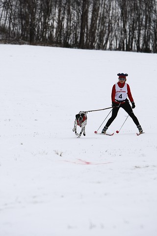 Kynologická revue - www.dogsk.sk