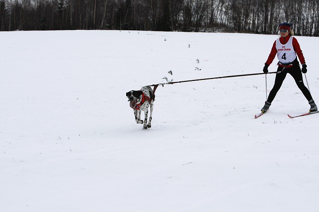 Kynologická revue - www.dogsk.sk