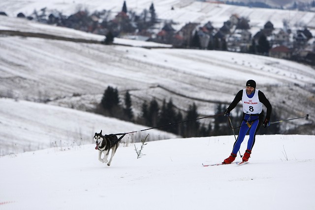 Kynologická revue - www.dogsk.sk