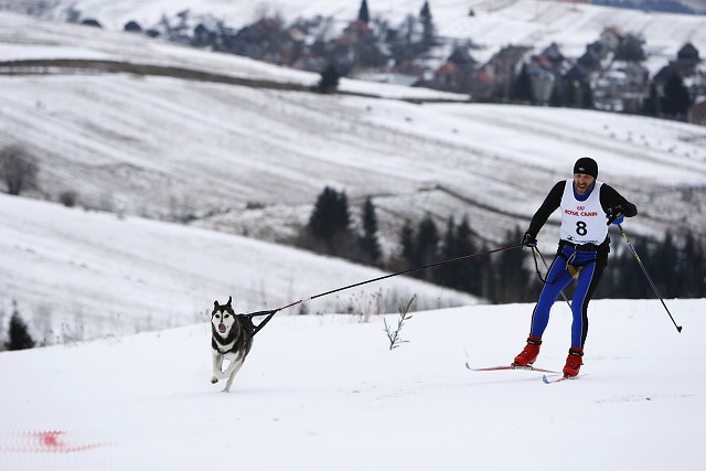 Kynologická revue - www.dogsk.sk