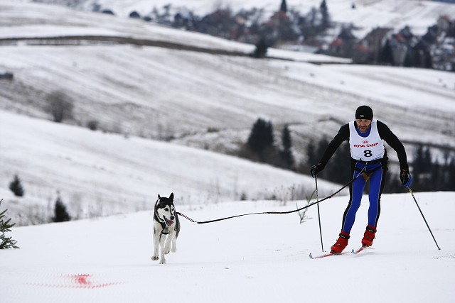 Kynologická revue - www.dogsk.sk
