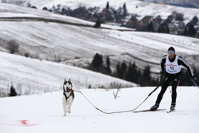 Kynologická revue - www.dogsk.sk