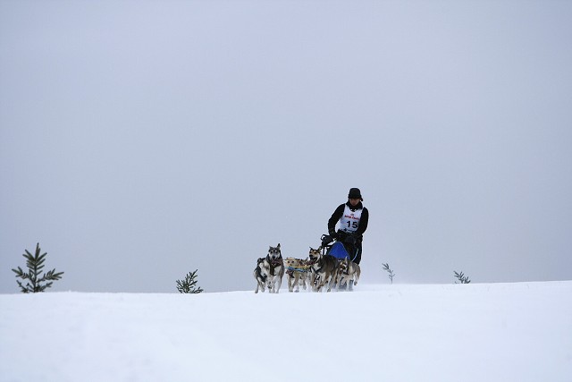 Kynologická revue - www.dogsk.sk
