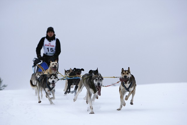 Kynologická revue - www.dogsk.sk