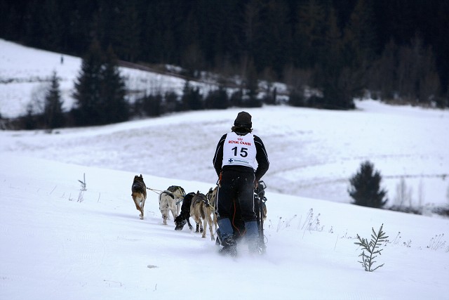 Kynologická revue - www.dogsk.sk