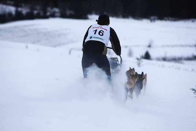 Kynologická revue - www.dogsk.sk