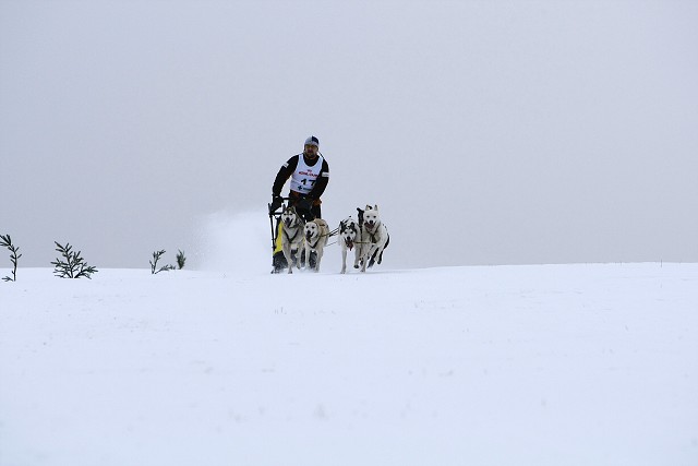 Kynologická revue - www.dogsk.sk