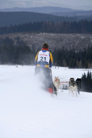 Kynologická revue - www.dogsk.sk