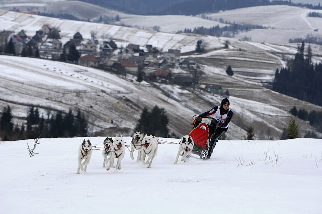 Kynologická revue - www.dogsk.sk