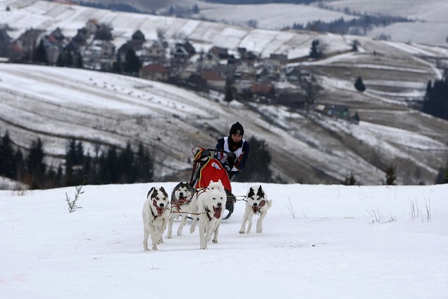 Kynologická revue - www.dogsk.sk